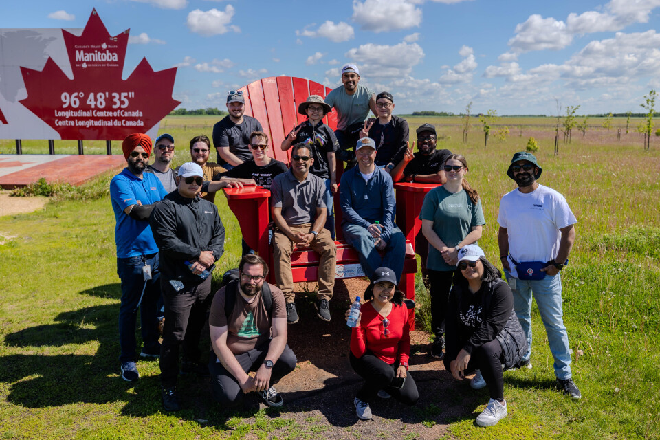 Team Tree Planting